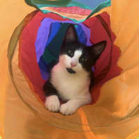 Photo of Cappuccino