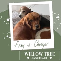 Photo of Amy 
