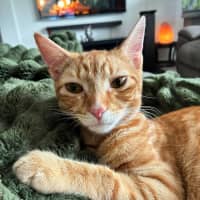Photo of Ron