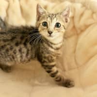 Photo of Splash And Shiny 