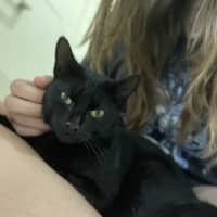 Photo of Bonbon