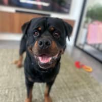 Photo of Arnie