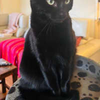 Photo of 💚 Mali 💚