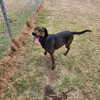 Photo of Sabrina (68383)