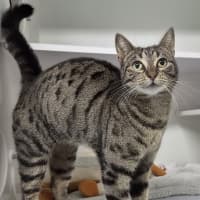 Photo of Winnie