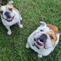 Photo of Sally & Jasper