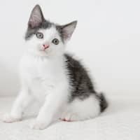 Photo of Lenny