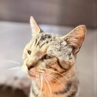 Photo of Bruce Wayne