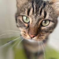 Photo of Ralph