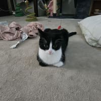 Photo of Jersey