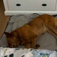 Photo of Brandylicious