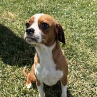 Photo of Angel