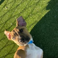 Photo of Cloud Imp 1722