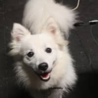 Photo of Nikita