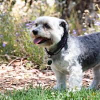 Photo of Lulu Lozano