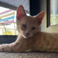 Photo of Winnie