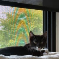 Photo of Parker