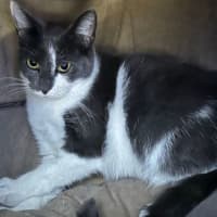 Photo of Bellara