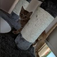 Photo of Squeak