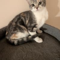 Photo of Mae