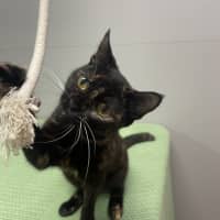 Photo of Dolly Parton