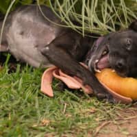 Photo of Beatrice Lozano