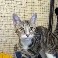 Photo of Ivy