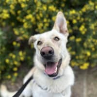 Photo of Duke