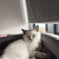 Photo of Elio