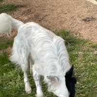 Photo of Jack