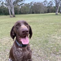 Photo of Cash