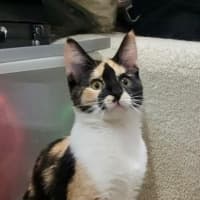 Photo of Jj Moo