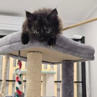 Photo of Lila