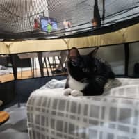 Photo of Luca