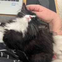 Photo of Max