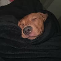 Photo of Ajax