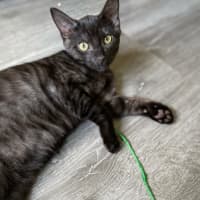 Photo of Monte ❤️