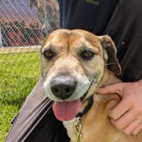 Photo of Duke