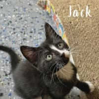 Photo of Jack