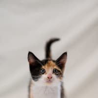 Photo of Celia