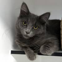 Photo of Emma Stk013179 & Freddie Stk013181