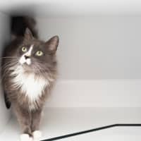 Photo of Karl
