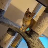 Photo of Squeak