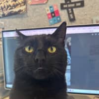 Photo of Sir Boopsalot