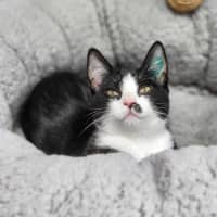 Photo of 🎀 Snapple 5746 🎀