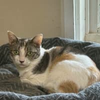 Photo of Vera
