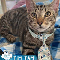 Photo of Tim Tam