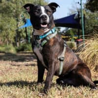 Photo of Hank Peggotty