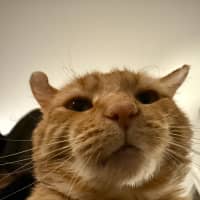Photo of Bobby