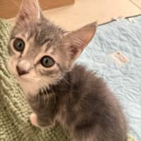 Photo of Zara
